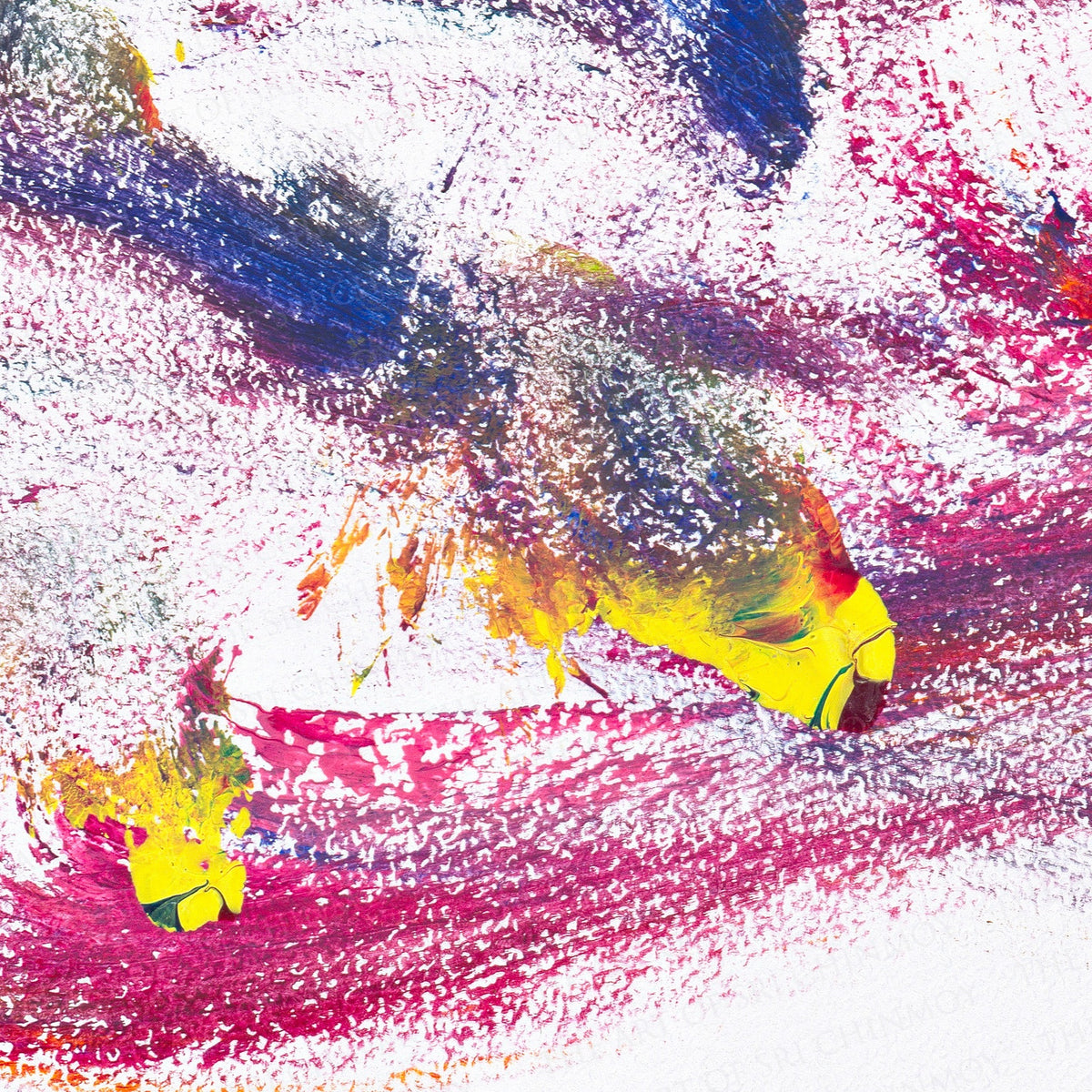 11412 The Art of Sri Chinmoy