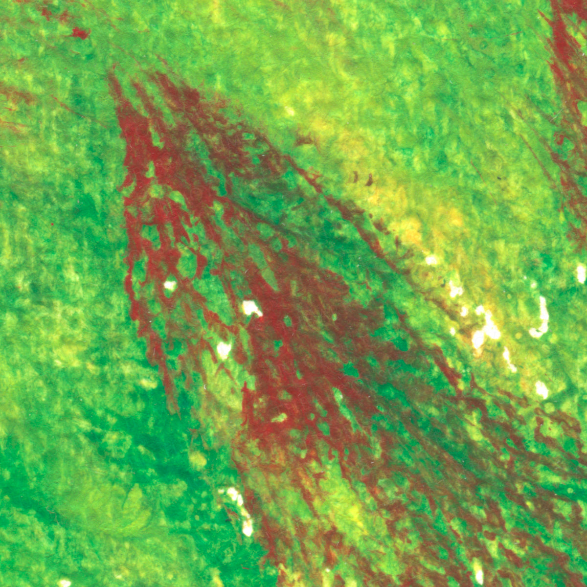 printapp:detail