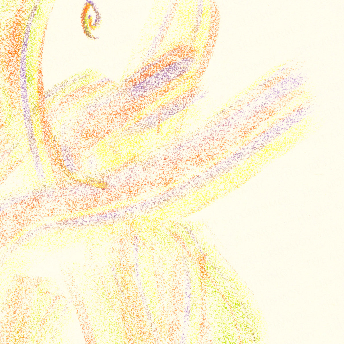 11903 The Art of Sri Chinmoy