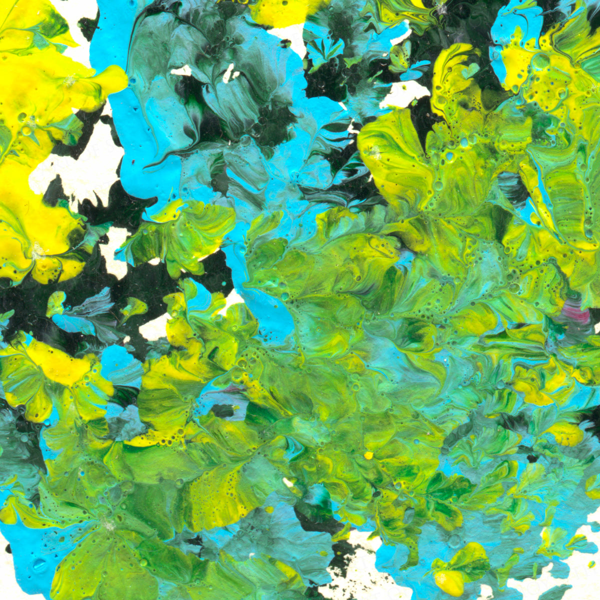 printapp:detail
