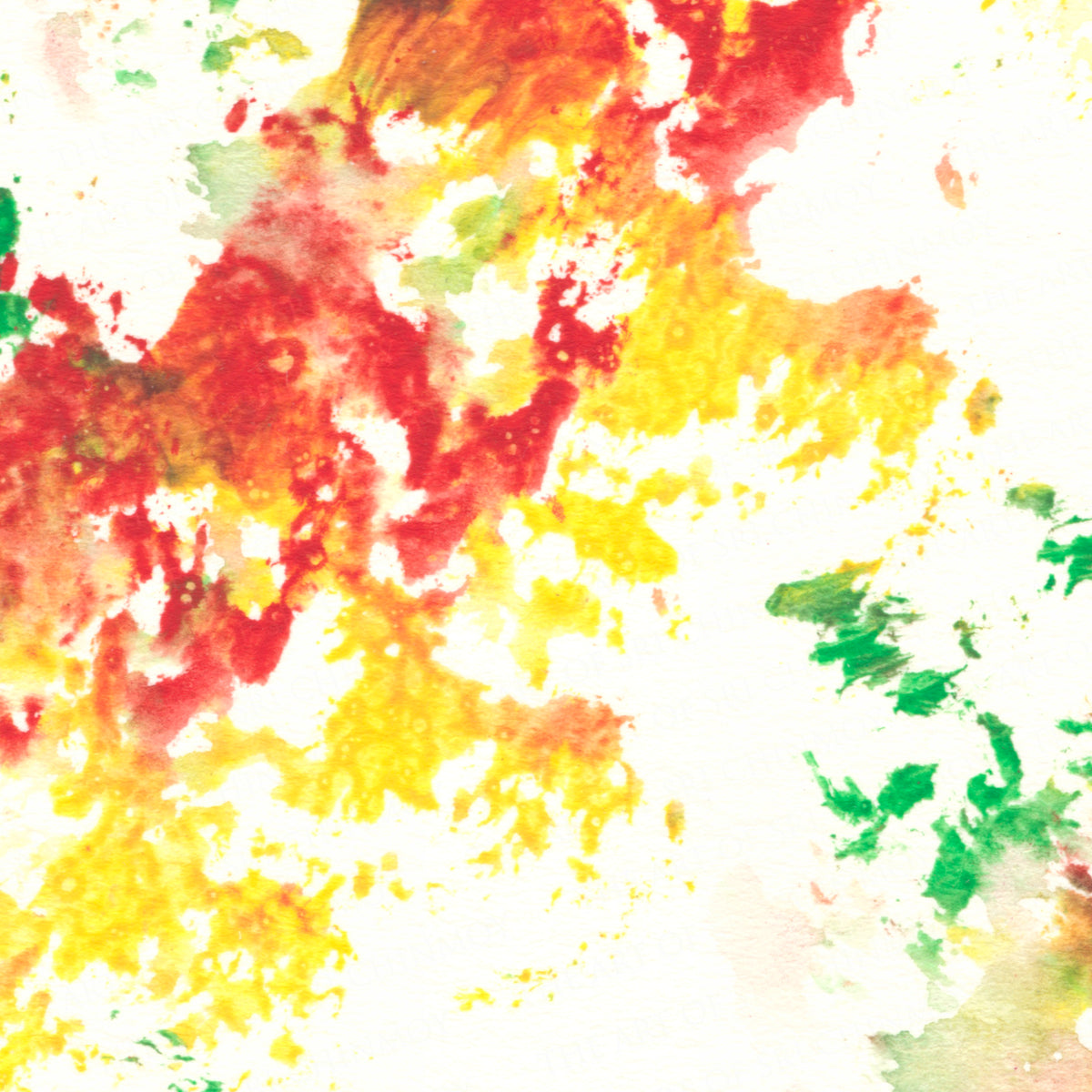 11660 The Art of Sri Chinmoy