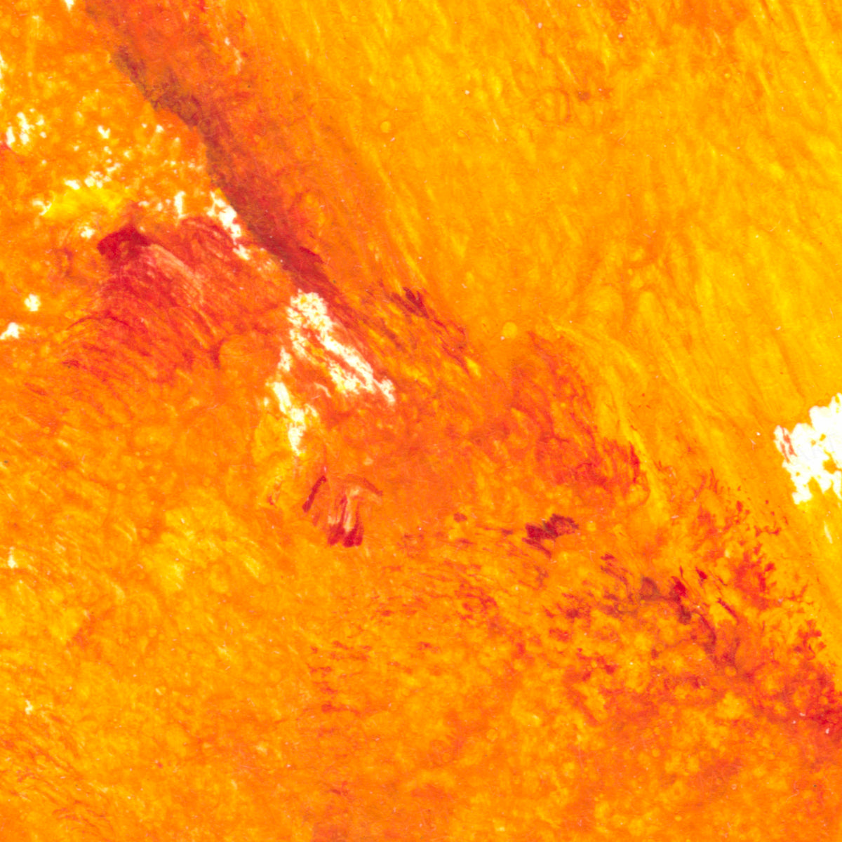 printapp:detail